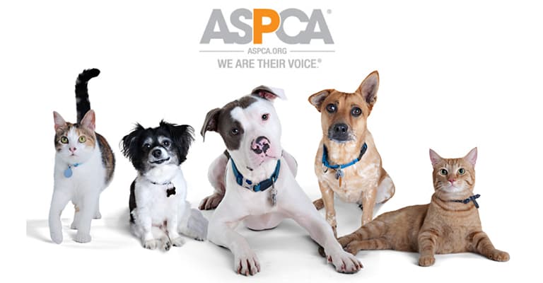 a/c repair near you around me